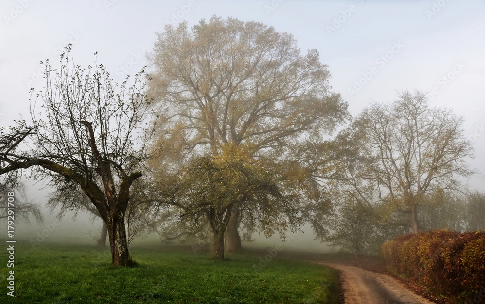 Landscape with a cold and foggy autumn morning Landscape with a cold and foggy autumn morning