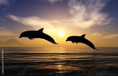 flying dolphins  sunset at the sea with dolphins  banner