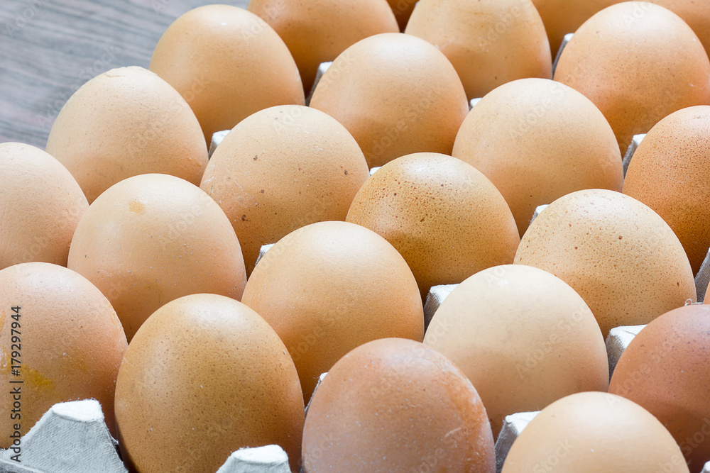 Egg, Chicken Egg in the package. Egg, Chicken Egg in the package.