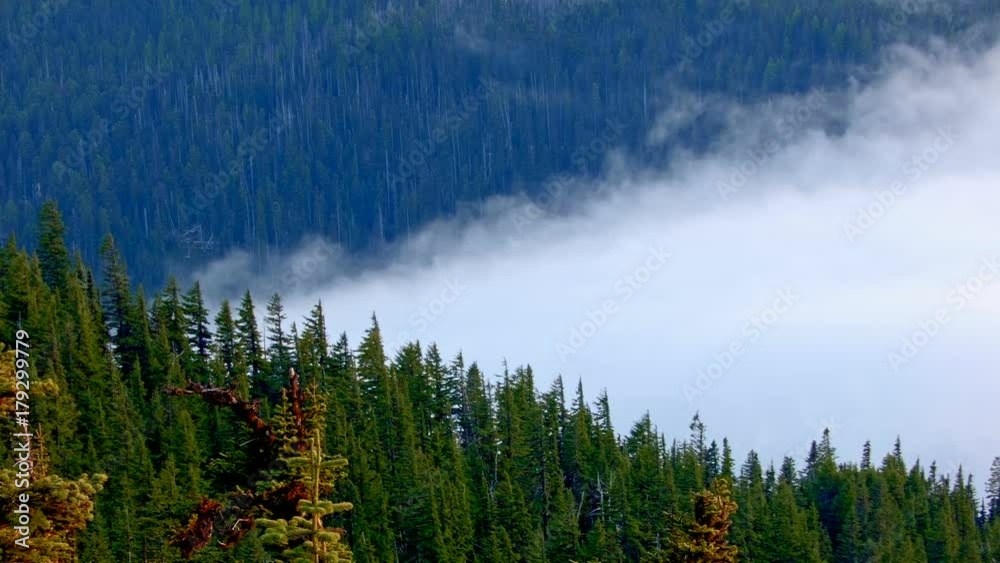Sunset forest fog clouds Inversion Mt. Hood Oregon Cascades 1 Sunset forest fog clouds Inversion Mt. Hood Oregon Cascades 1