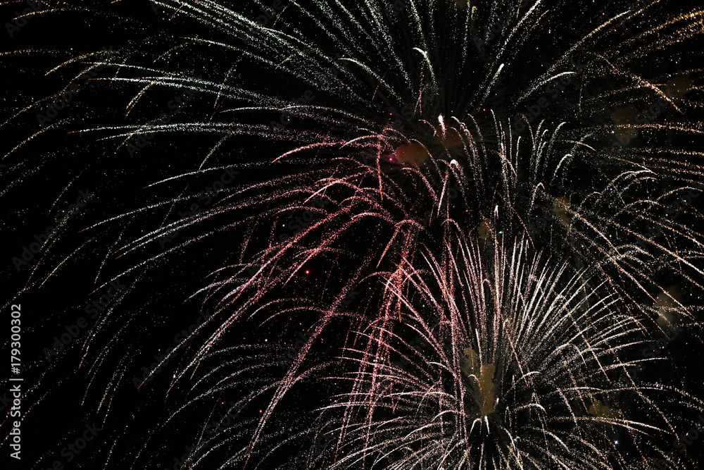 Obraz premium firework