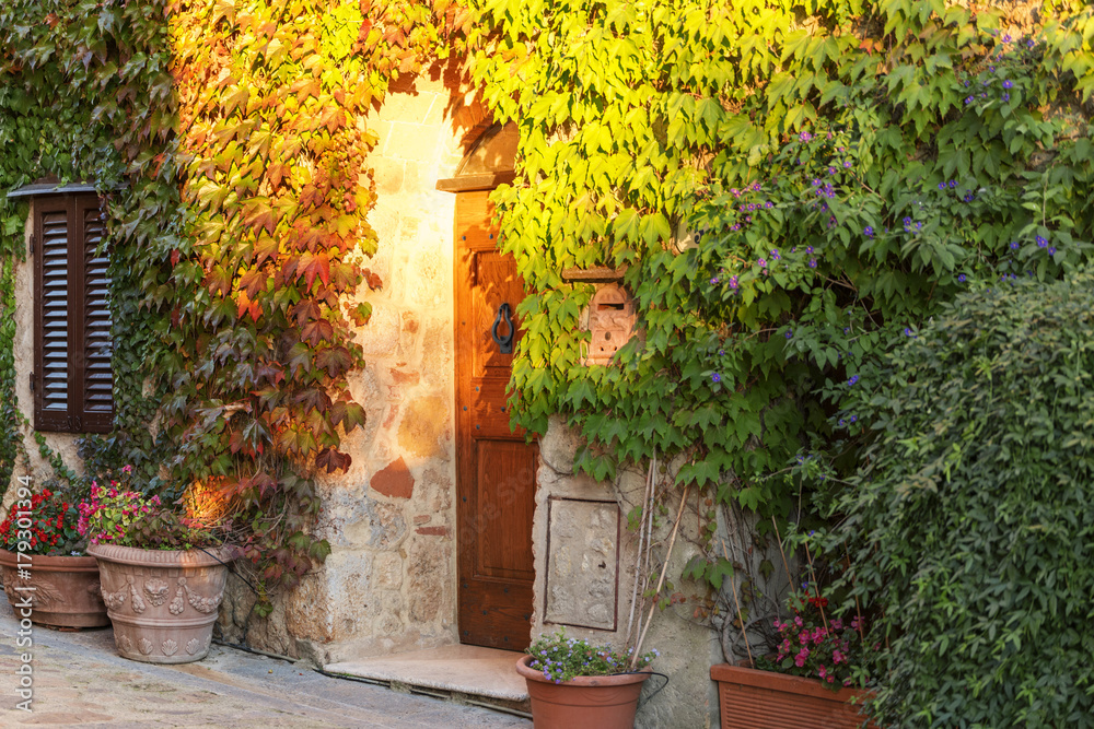 Naklejka premium Fassade mit herbstlich gefärbten Wein,