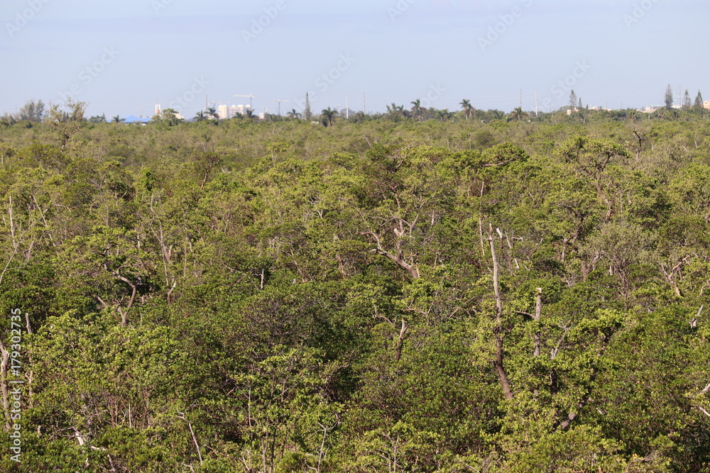 landscape view landscape view