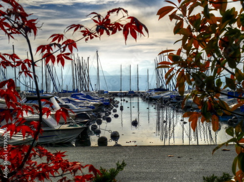 Vidy, vue sur le port et le lac Léman en automne photo