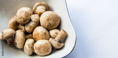 Fresh white mushrooms champignon