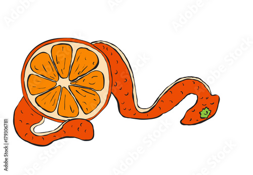 orange peel, juicy fruit, healthy food, rich in vitamins, hand drawing, vector image,outline style