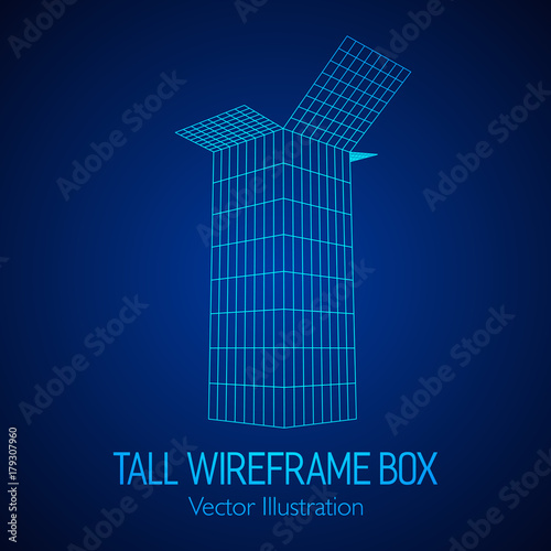Tall vertical rectangle box open. Retail wireframe poly mesh vector illustration concept