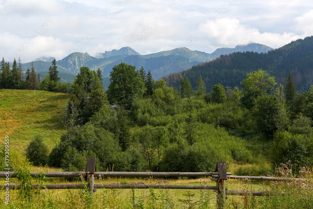 Tatras and wooded land and meadows with Zakopane