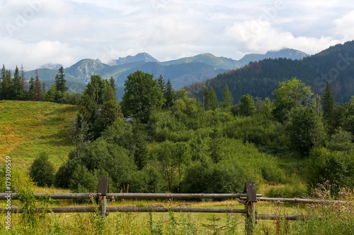 Tatras and wooded land and meadows with Zakopane