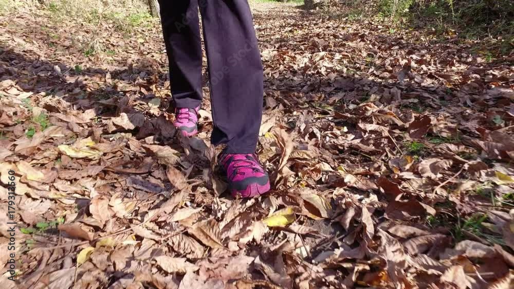 Woman walking on a mountain path full of dead leaves during Autumn Woman walking on a mountain path full of dead leaves during Autumn