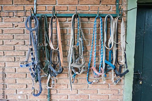 Rope and reins hanging on stable wall