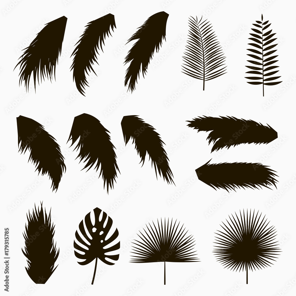 Silhouettes of tropical and palm leaves. Set of isolated jungle exotic plants leaf. Hand drawn monochrome illustration. Vector.