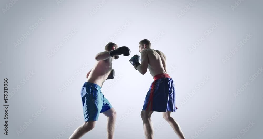 Two boxers in action on white background Two boxers in action on white background