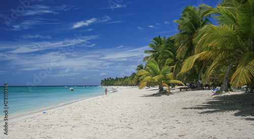 Plage paradisiaque, Saona, mer des caraibes, République Dominicaine 