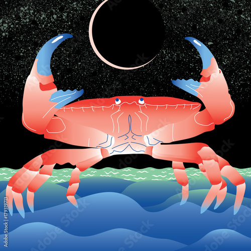 Illustration of crab