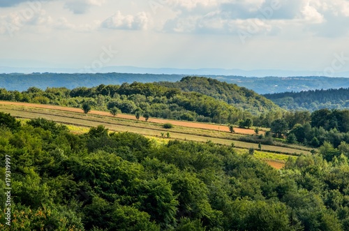Summer hills landscape. Beautiful green Jurassic hills in Poland.