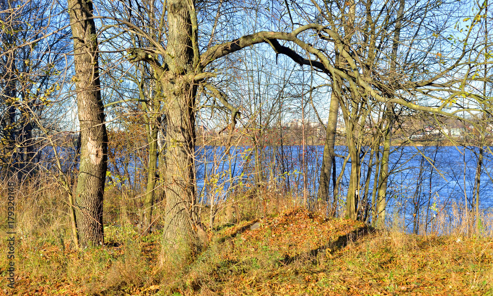 Fototapeta premium Park jesienią.