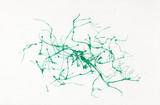 Abstract watercolor on paper. Background green neurons