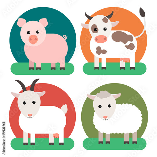 Livestock: cow, pig, goat and sheep. Vector illustration.