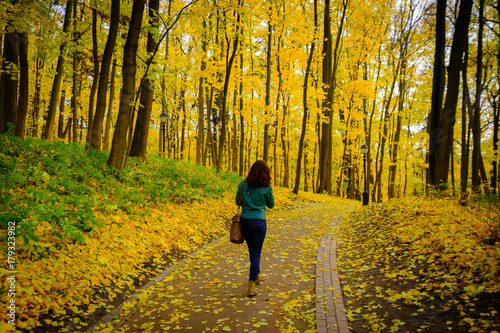 Young woman walking in a park at golden fall, back view © Anton Gvozdikov