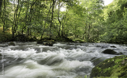 Stream Time Lapse