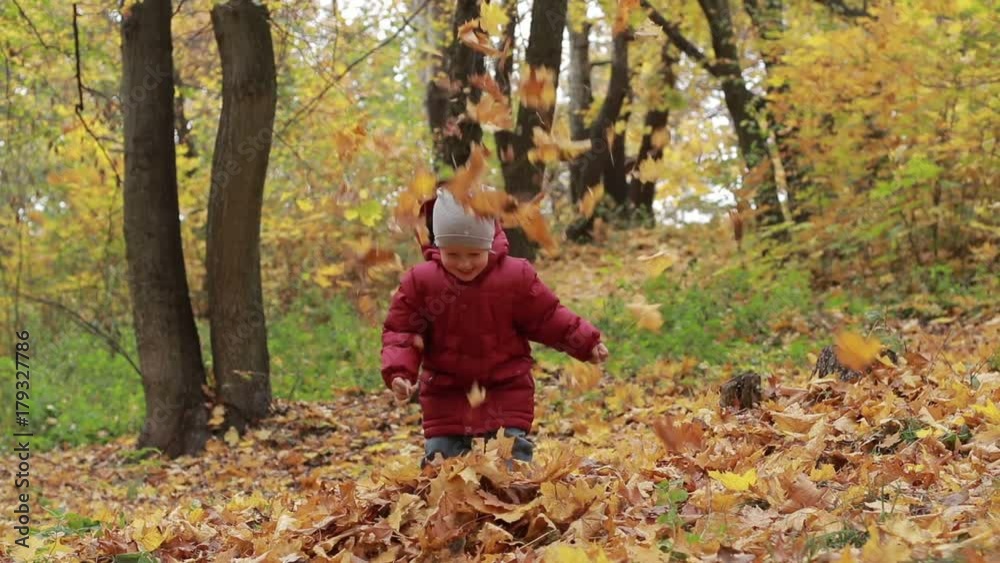 Toddler boy playing with autumn leaves in park Toddler boy playing with autumn leaves in park