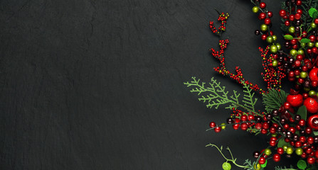 Christmas tree banches and red berries background