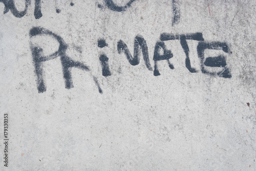 tag grafitti primate béton mur primaire singe homme comportement