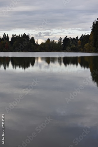 lake © Mozhgan