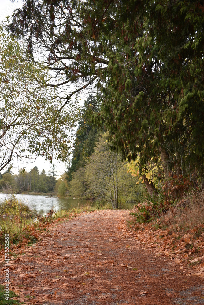 Fototapeta premium autumn