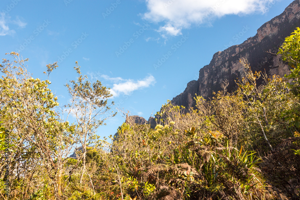 Mount Roraima in Venezuela, South America.