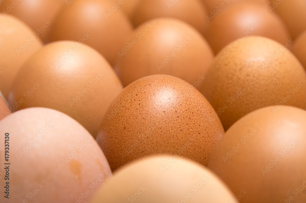 egg isolated on white background egg isolated on white background