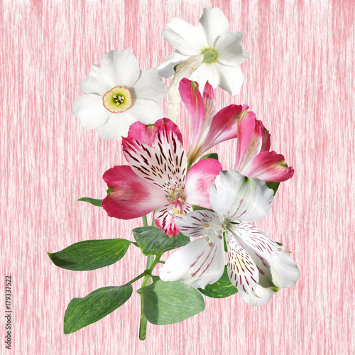Fototapeta Naklejka Na Ścianę i Meble -  Beautiful floral background of narcissus and alstroemerias  