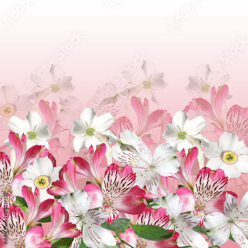 Beautiful floral background of narcissus and alstroemerias  