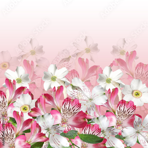 Fototapeta Naklejka Na Ścianę i Meble -  Beautiful floral background of narcissus and alstroemerias  