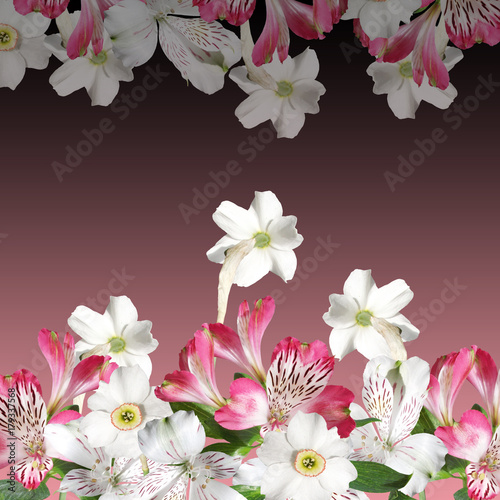 Fototapeta Naklejka Na Ścianę i Meble -  Beautiful floral background of narcissus and alstroemerias  