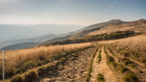 Fototapeta Naklejka Na Ścianę i Meble -  Beautiful mountains in Poland - Bieszczady