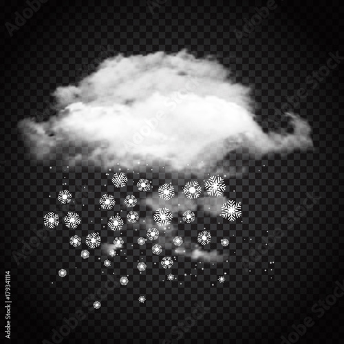 Snow cloud