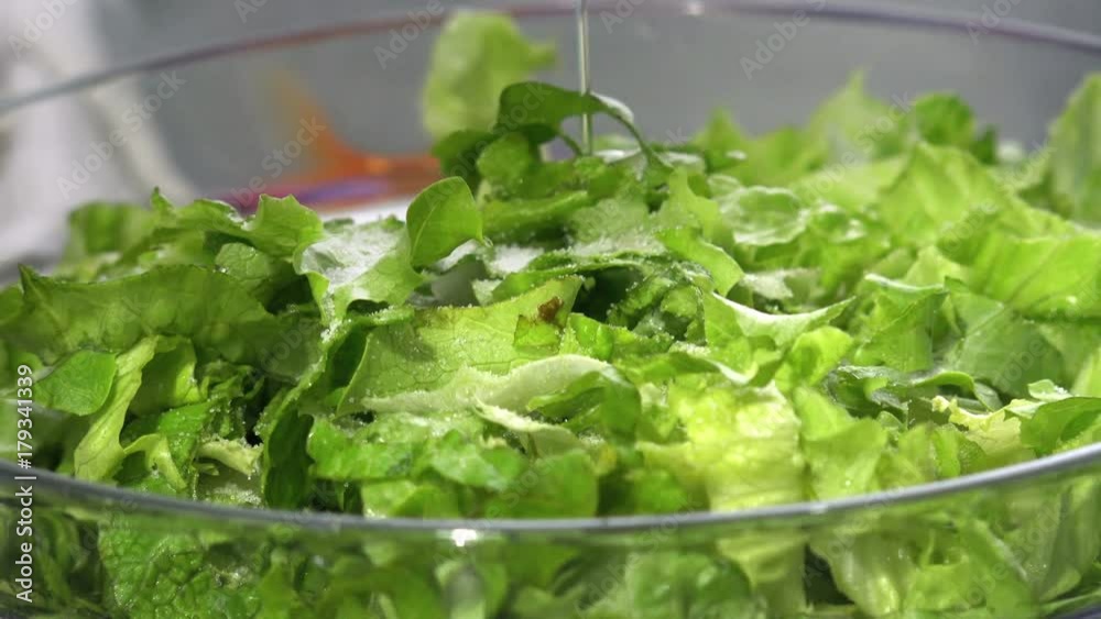 Lettuce Salad, adding dressing salt, oil, vinigar Lettuce Salad, adding dressing salt, oil, vinigar