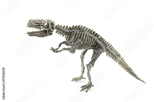 skeleton of dinosaur t-rex of toy in white background © M.Madriñán