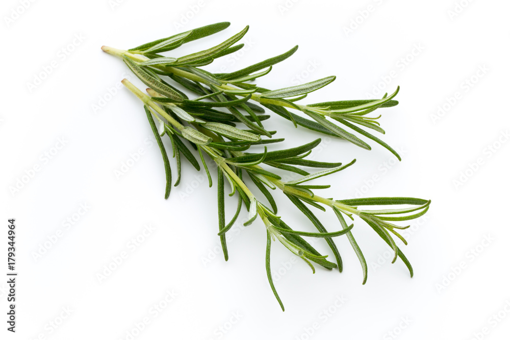 Rosemary isolated on white background, Top view.