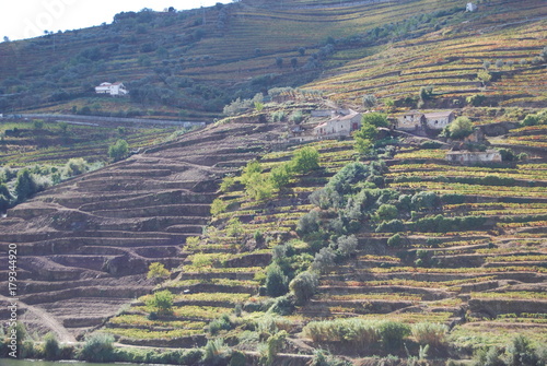 Paisagens Geres/Douro