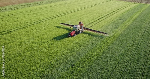 Drone aerial shot of a farmer spraying green wheat field