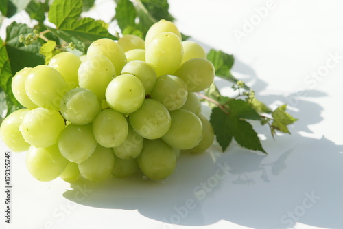 シャインマスカット