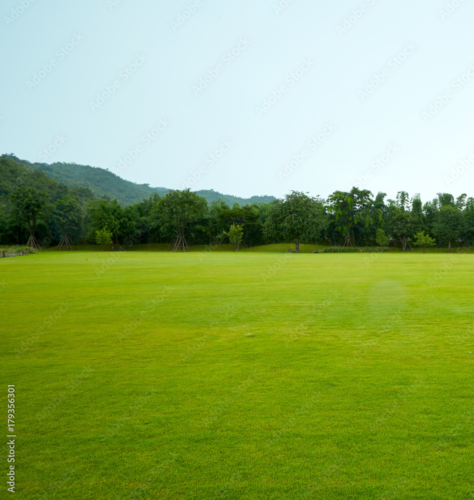 Lawns mountain landscape the beauty of nature Lawns mountain landscape the beauty of nature