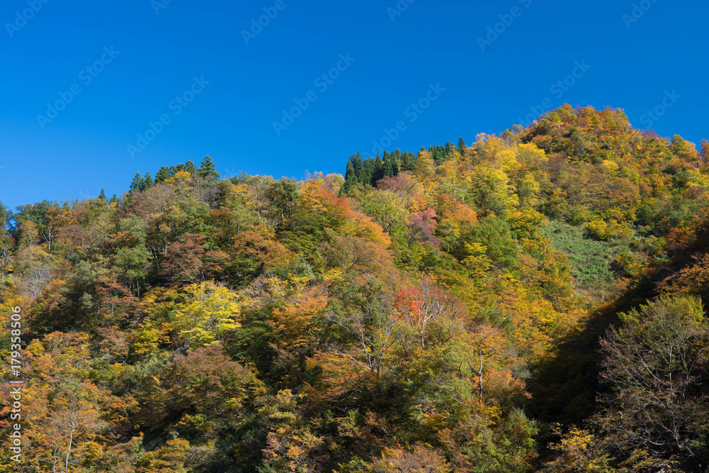 十日町の清津峡の紅葉 十日町の清津峡の紅葉
