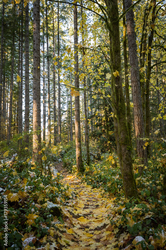 Park in the fall