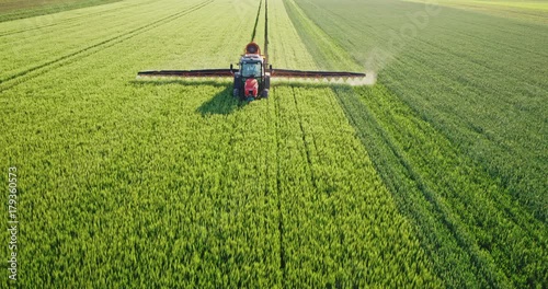 Drone aerial shot of a farmer spraying green wheat field