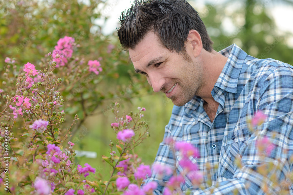 checking another flower variety checking another flower variety