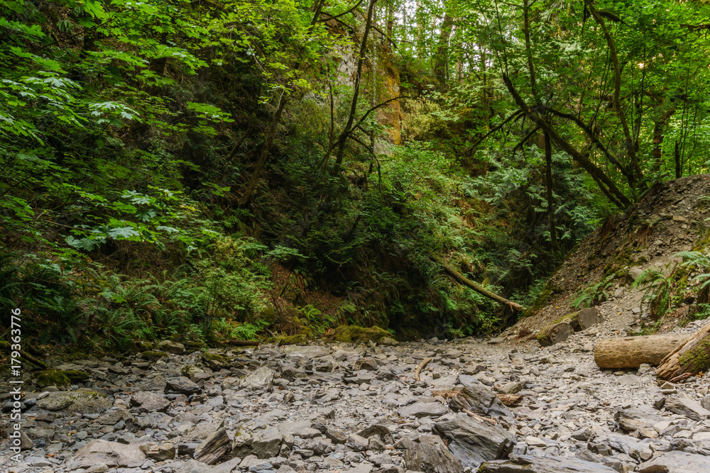 Dry bed of a mountain stream in the forest on Vancouver Island Canada.